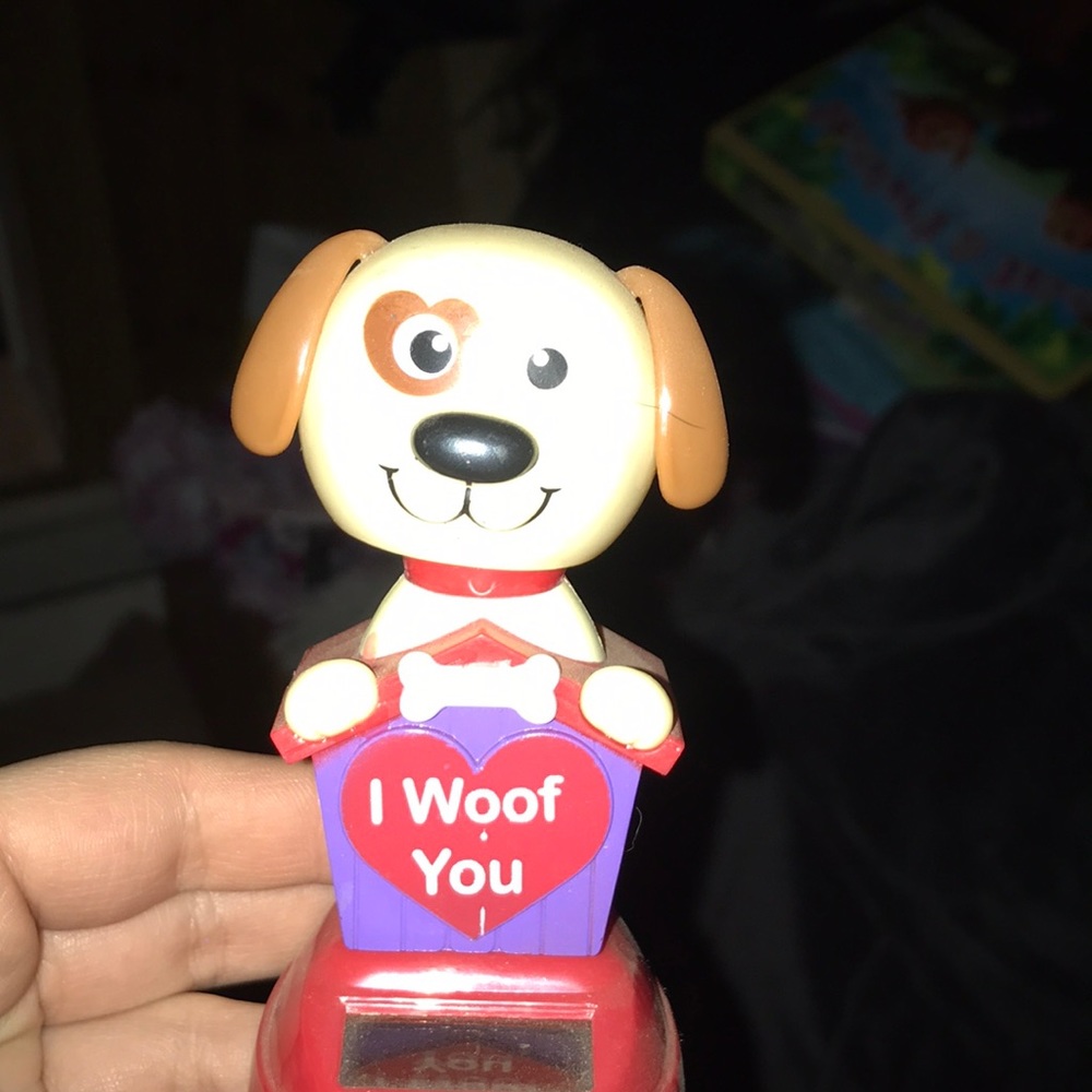 A dog thing when it catches the light it moves